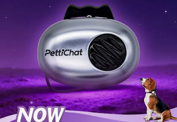 PettiChat lanza un traductor con IA que interpreta los sonidos de perros y gatos PettiChat lanza un traductor con IA que interpreta los sonidos de perros y gatos